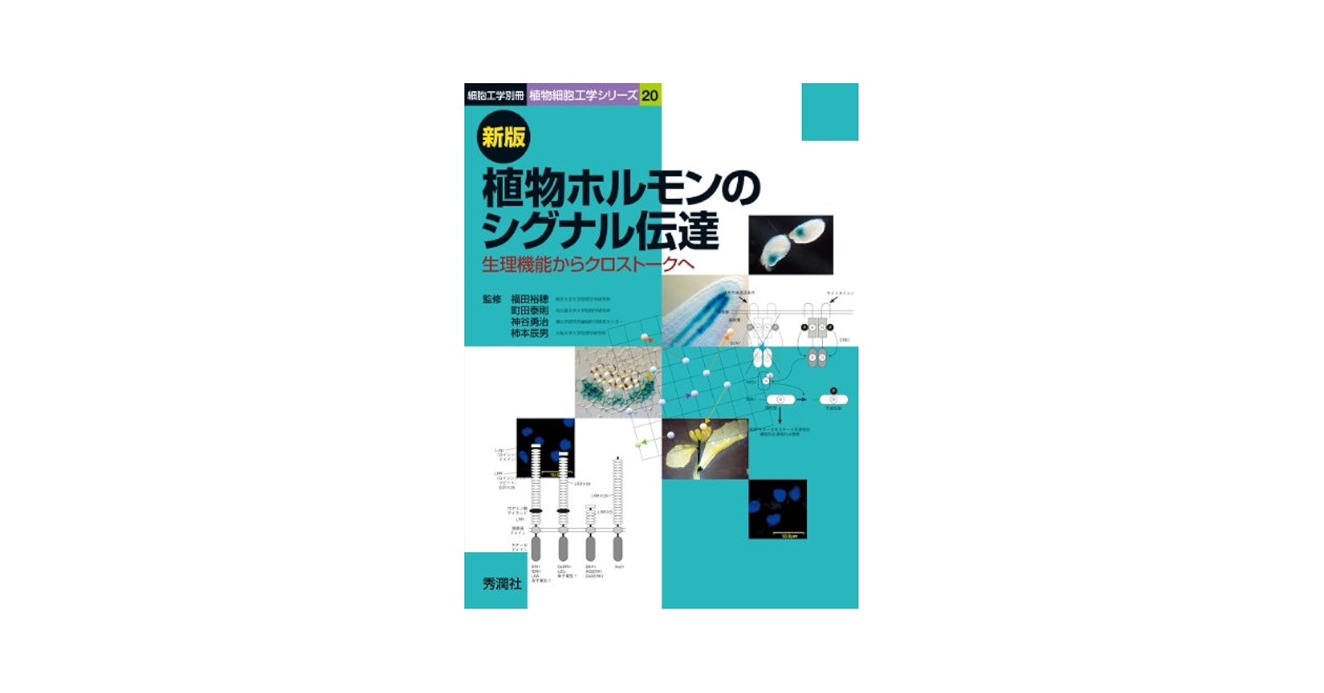 植物ホルモンのシグナル伝達: 生理機能からクロスト-クへ (細胞
